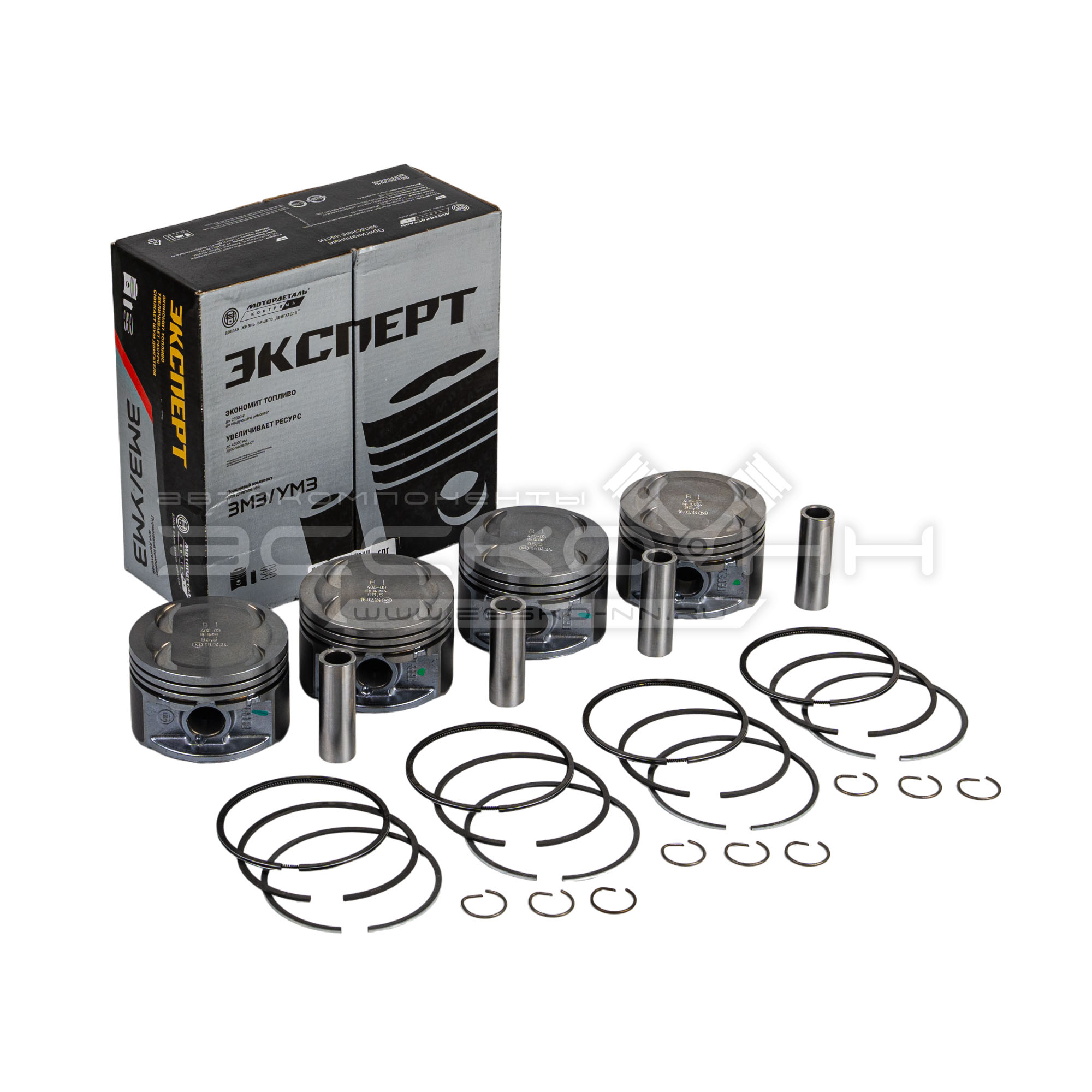 Поршня дв.EvoTech  96,5  "B"   Мотордеталь
